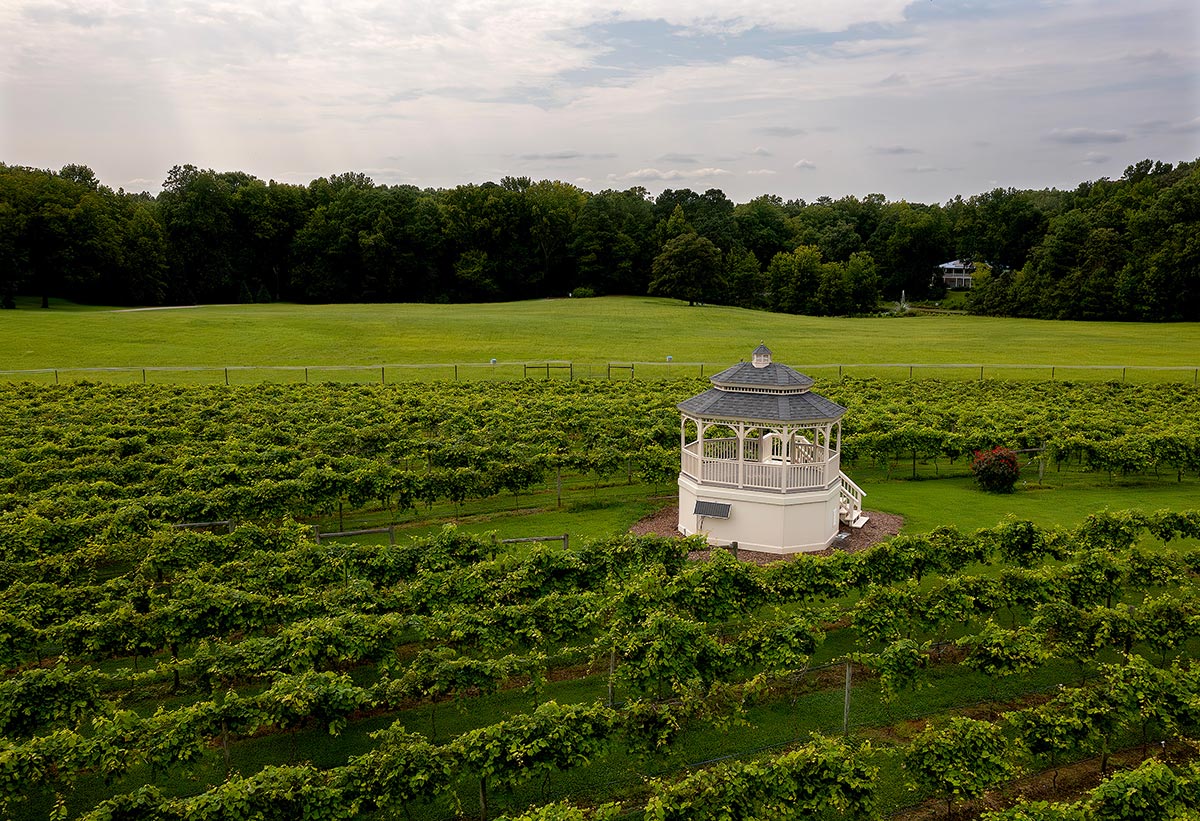 Aerial photo of a gazebo within the vineyard at Gauthier Vineyard